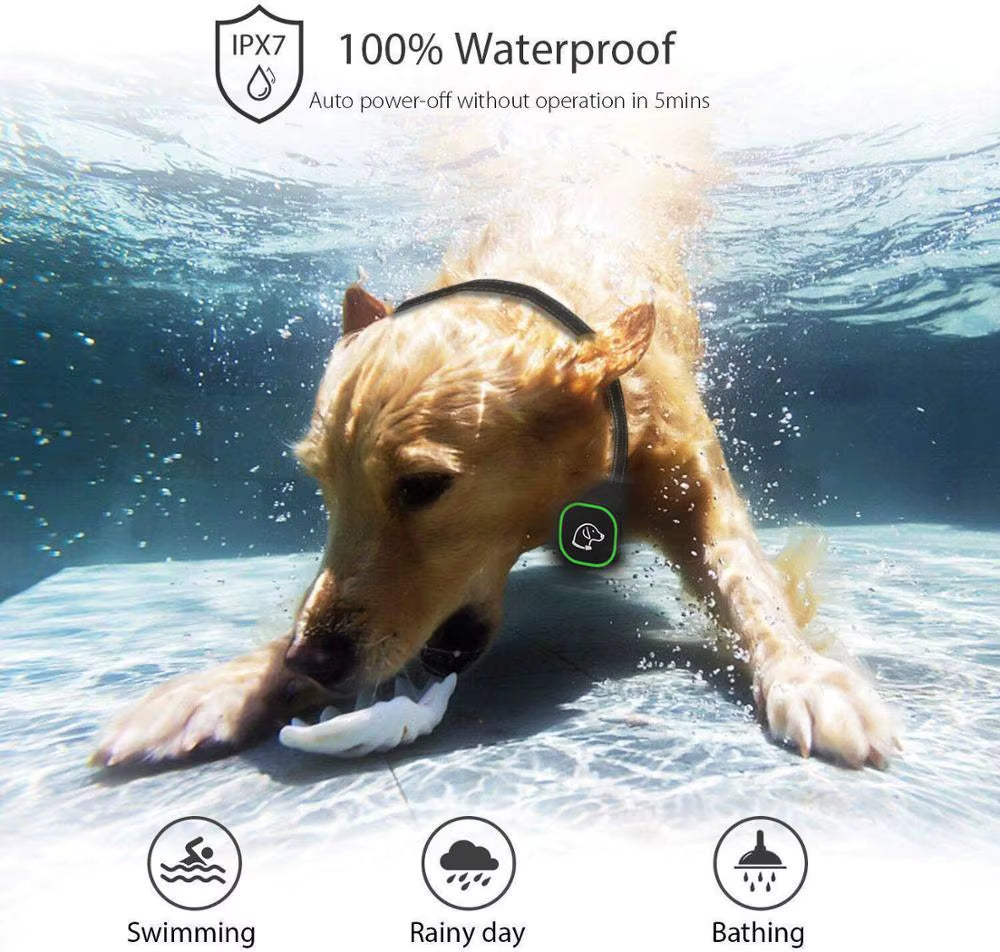1000FT Pet Dog Training Collar IP67 Waterproof Rechargeable Electric Remote Shock Vibration Sound Bark Stop Collar Drop Shipping
