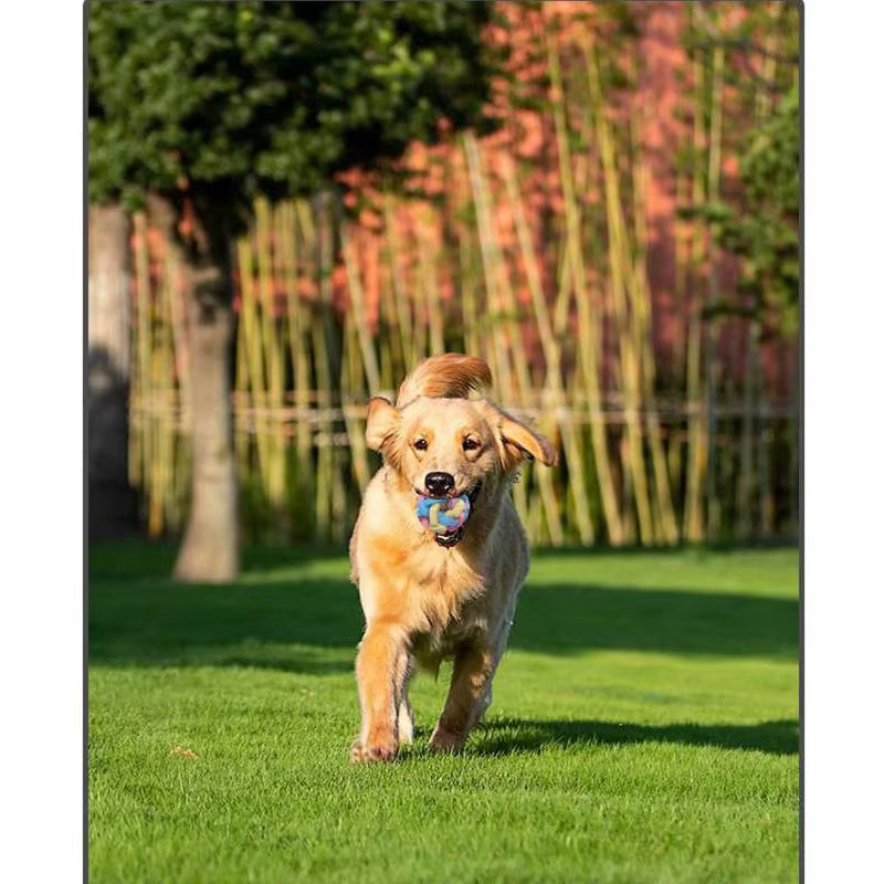 Pet Toy Colorful Bell Ball TPR Macaron Woven Bell Ball Cat and Dog Elastic Ball Teeth Grinding and Bite Resistant Relief Toy