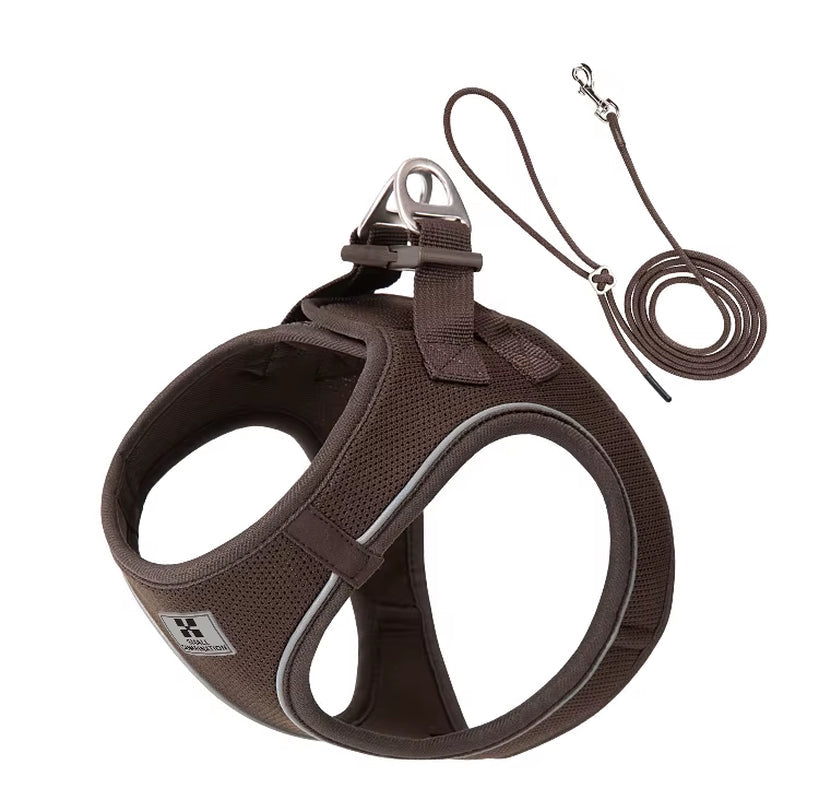 Dog Harness Leash Set for Small Medium Dog Adjustable Reflective Puppy Cat Harness Pet Vest Chihuahua Dachshund Outdoor Walking