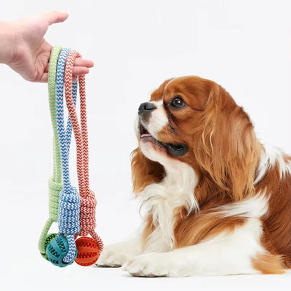 Pet Teeth Cleaning Ball Rope Toy, Rubber Treat Dispenser Ball Suitable for Small and Large Dogs
