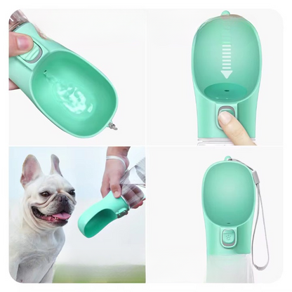 🐶 Gourde portable d’hydratation🐕✨