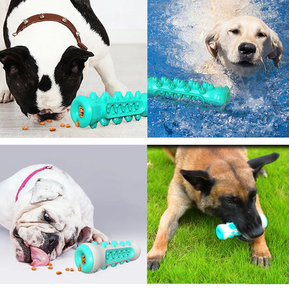 Ultimate Large Dog Toothbrush Chew Toy - Safe, Bite-Resistant Dental Care for Your Puppy or Adult Dog!